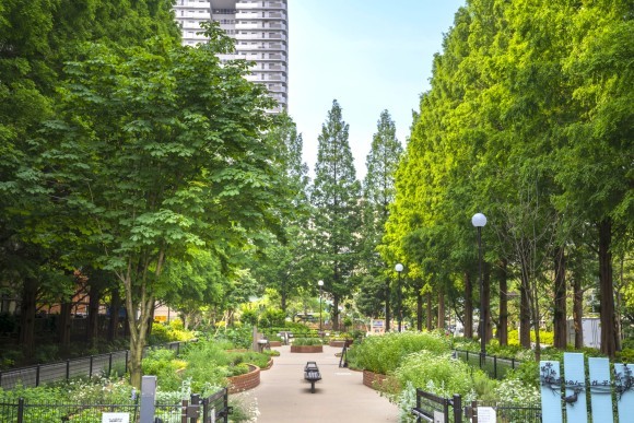 練馬区立 四季の香ローズガーデン 「四季の香ローズガーデンハーブフェア」を開催