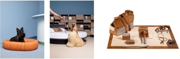 世界中を魅了するイタリアのファニチャーブランド「ポルトローナ・フラウ」よりブランド初となる「Pet Collection」が誕生〜ポルトローナ・フラウ東京⻘⼭/⼤阪にて販売開始〜