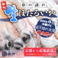 京都 榮元より期間限定発売！春の訪れ【生ホタルイカ】