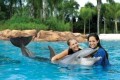 Discovery Cove