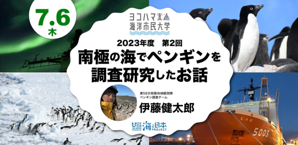 南極の海でペンギンを調査研究したお話