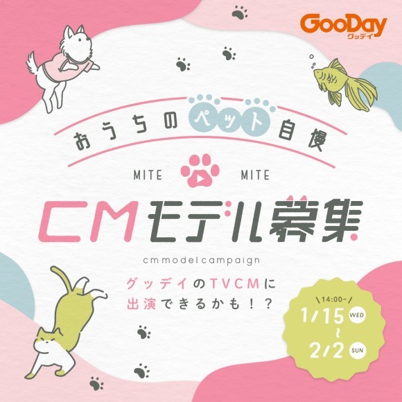 おうちのペット自慢　CMモデル募集
