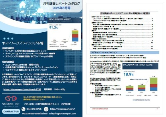 月刊調査レポートカタログ　2025年6月号