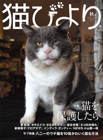 『猫びより』2023年秋号
