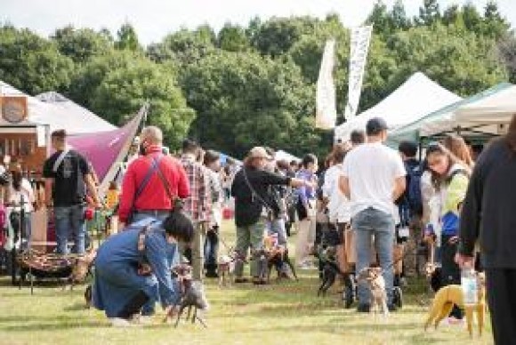 以前開催したワンちゃんマルシェの様子です。