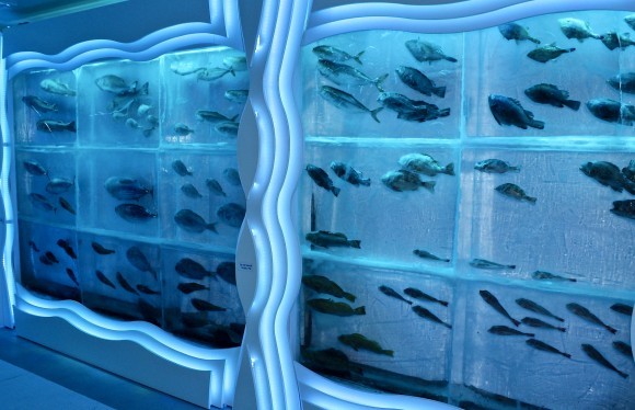 きらめきぷらすで好評連載中の、佐藤紀生さん「ギッチョムの気仙沼だより」23回目の今回は、「氷の水族館」