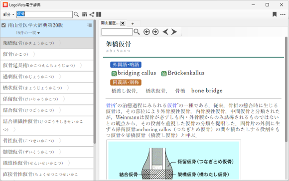 Windows版「LogoVista電子辞典」『南山堂医学大辞典 第20版』で専用