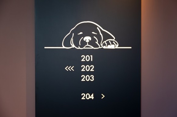 白浜わんわん撮影会