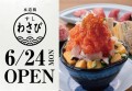 【東京ドームシティで寿司や海鮮料理を味わう】ブランド4店舗目となる「水道橋 すしわさび」が2024年6月24日（月）東京ドームシティ内フードホールにオープン！