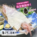 流水10分！京都榮元 海工房の【白イカの姿造り】