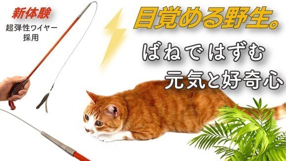 ばねじゃらし銘木版