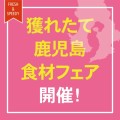 新幹線荷物輸送サービス「はやっ！便」 獲れたて鹿児島食材フェア開催！