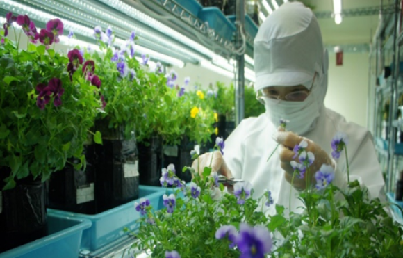 もともと経理で頑張っていた社員さんが今では楽しんで仕事をしています。