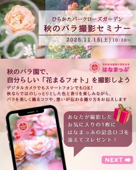 はなまっぷ秋のバラ撮影セミナー