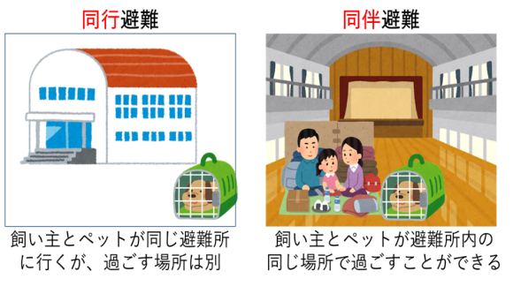 覚えておきたい「同行避難」と「同伴避難」の違い