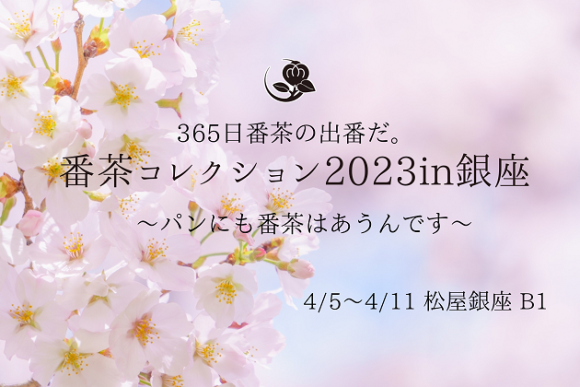 番茶コレクション写真