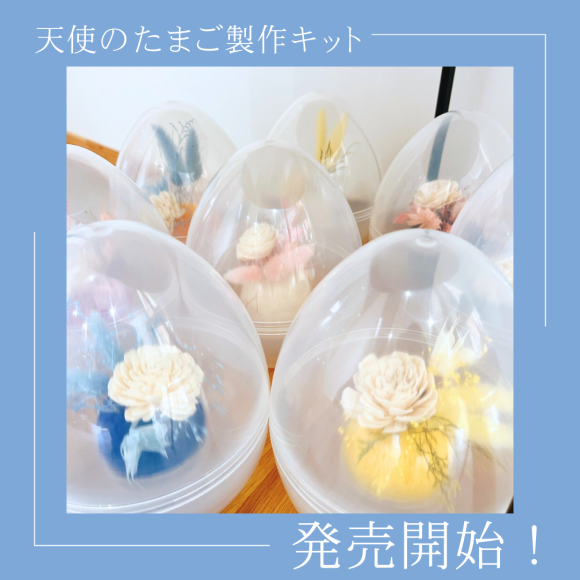 天使のたまご製作キット発売開始