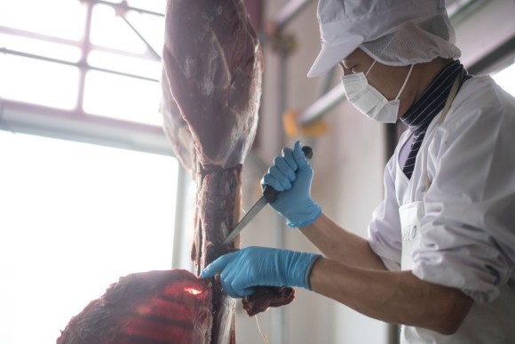 「すめらぎの森」にて、鹿の狩猟と解体の見学が出来ます。