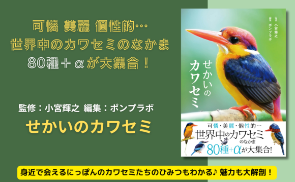 魅惑のカワセミ大図鑑！世界の80種＋αが大集合『せかいのカワセミ』が7月10日に発売