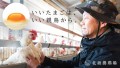 【いいたまごは、いい親鳥から】 淡路島・北坂養鶏場のこだわりたまご食べ比べセット 12月13日よりMakuakeにて販売スタート