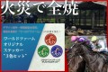 火災で全焼した牧場「ワールドファーム」再建プロジェクトに“ゼッケン5”の特別仕様ステッカー登場！