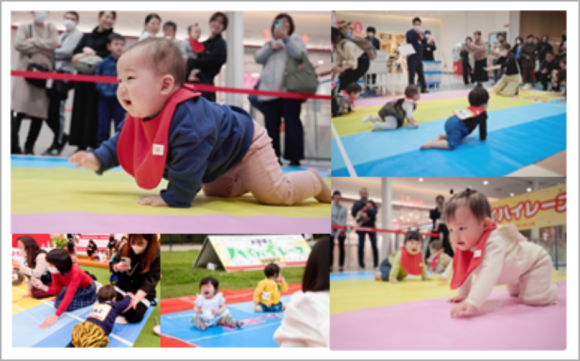 5,200人の赤ちゃんが挑むハイハイレース