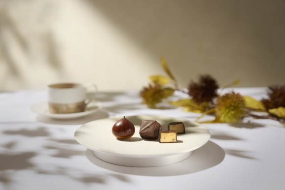 【新作】「WAGURI Noir」イメージ