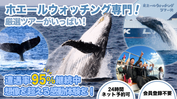 ホエールウォッチング専用サイト