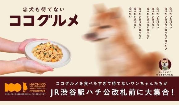 祝ハチ公生誕100年。忠犬も待てない！「ココグルメ」を食べたすぎて待てないワンちゃんたちがJR渋谷駅ハチ公改札前に大集合