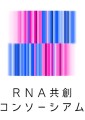 RNA共創コンソーシアムロゴマーク