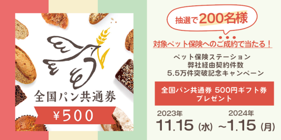 株式会社 エレメント