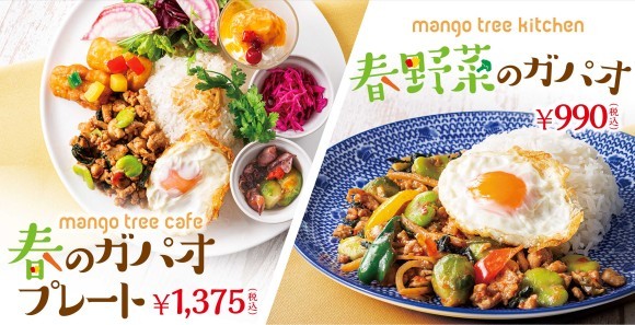 マンゴツリーカフェ「春のガパオプレート」／マンゴツリーキッチン「春野菜のガパオ」