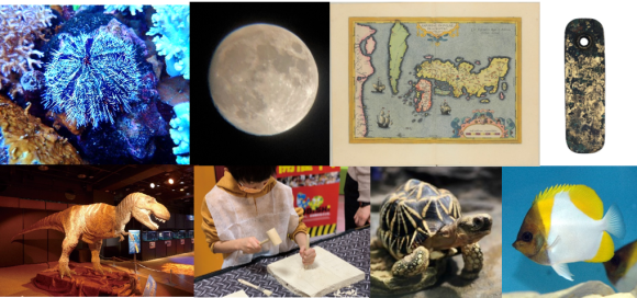 自由研究におススメイベント