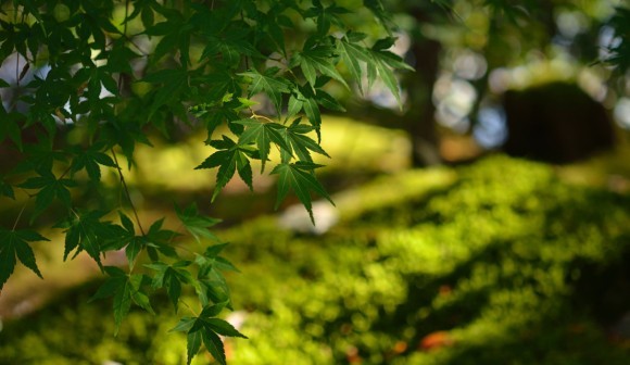 株式会社梅松園