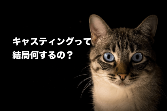 モデルキャスティングとは