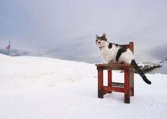 撮影：土肥 美帆