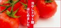 夏の冷やしトマト麺、はじめました。太陽のトマト麺オンラインショップにて6月24日～販売