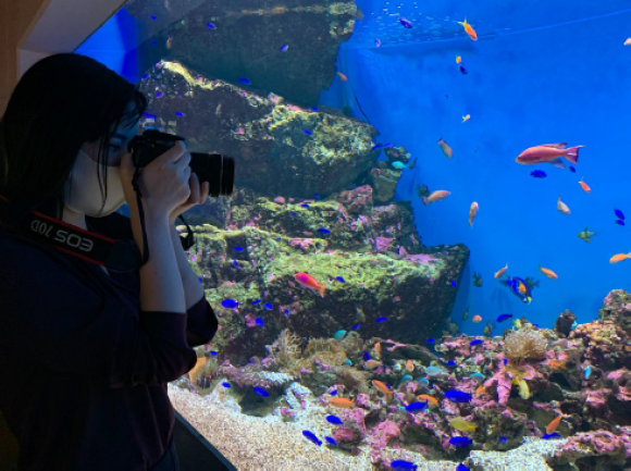 カメラ愛好家限定ナイトイベント「カメラナイト水族館」