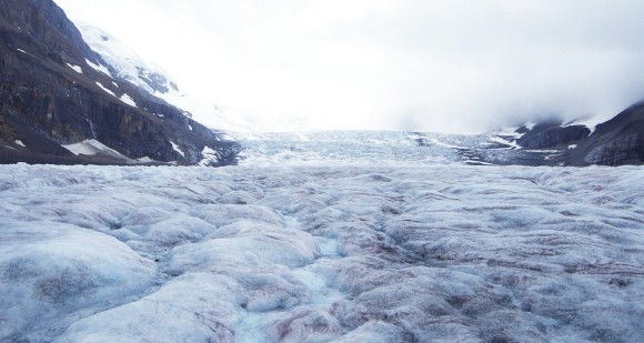 『地球温暖化が進むと感染症リスクが高まる』