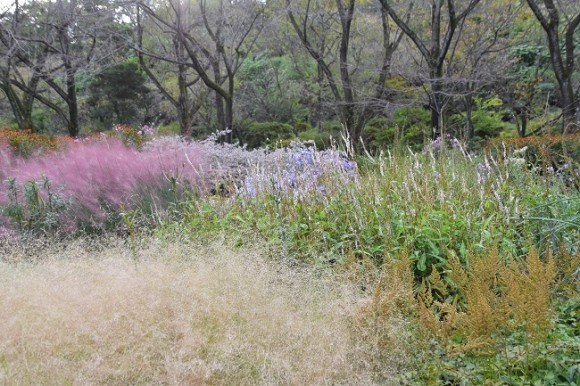 PIET OUDOLF GARDEN TOKYO(2022年10月撮影)