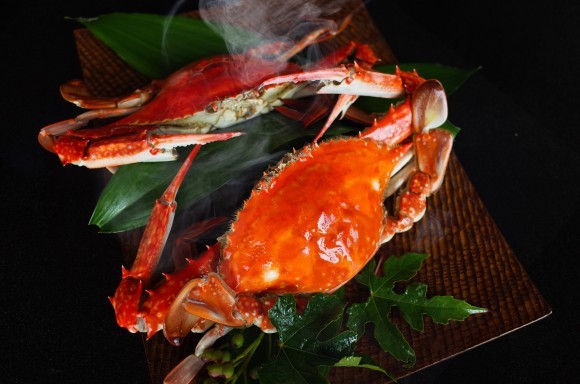 瀬戸内の蒸し蟹(ガザミ)