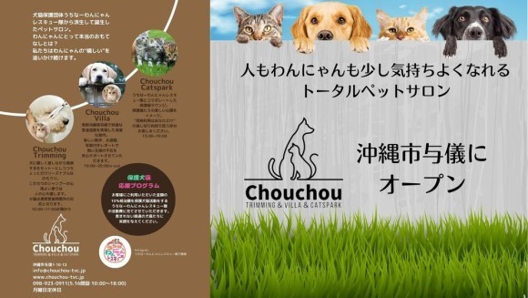 トータルペットサロンシュシュとは