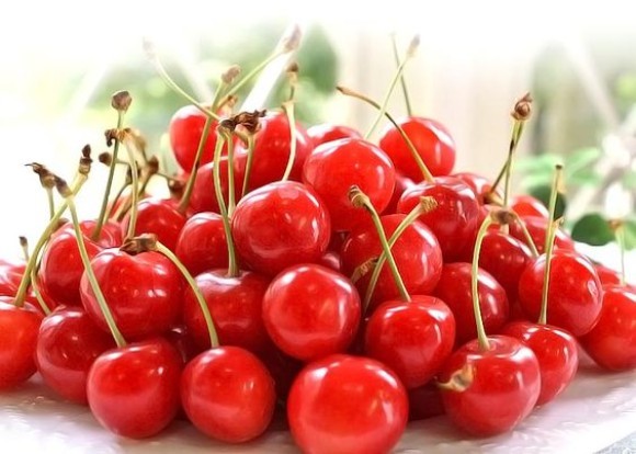 製品開発助成 1500万円(助成率2/3)