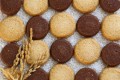 米粉のクッキー（プレーン・チョコ）