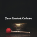 Nature Symphonic Orchestra / Healing Sounds - Singing Bowls