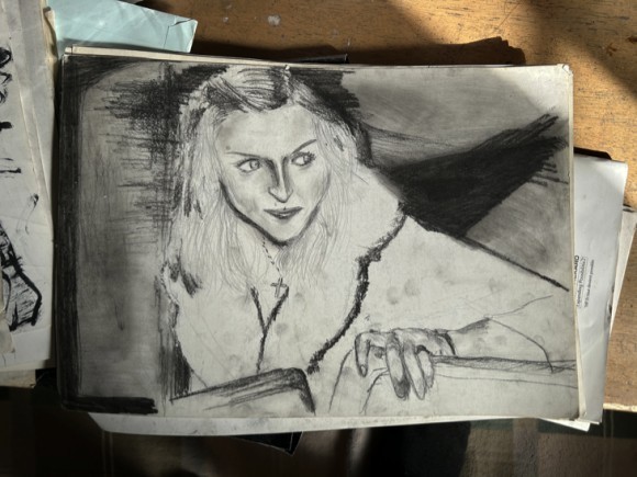 “諸刃の剣”＜戦略としてのグレー＞