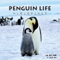 世界を旅する写真家・香川美穂さんのペンギン写真集「PENGUIN LIFE ペンギンおやこのとき」が発売！