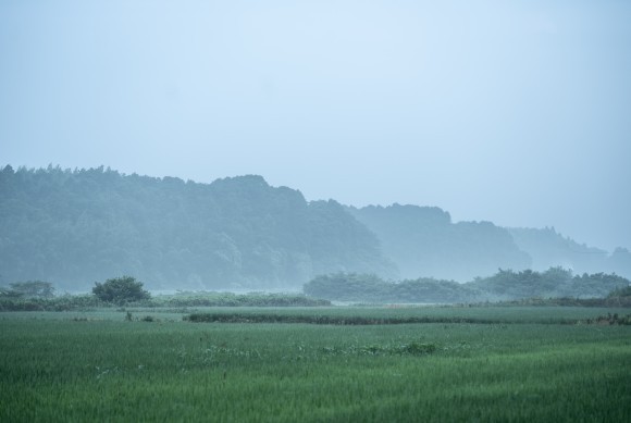 一枚の写真一枚の写真「いつもの場所」・・太宰 宏恵|きらめきぷらす