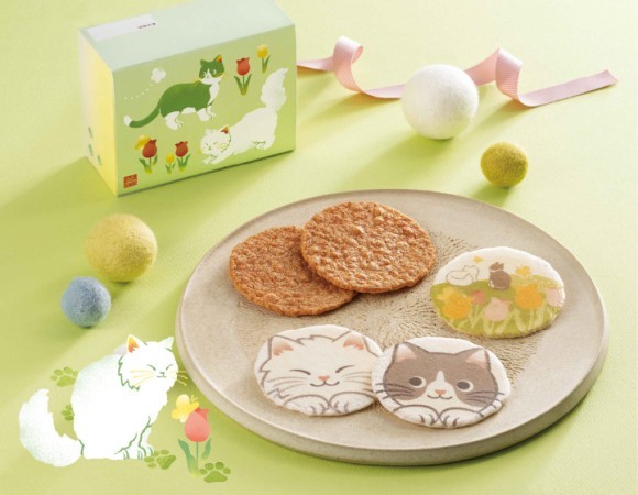 ねこの日向ぼっこ