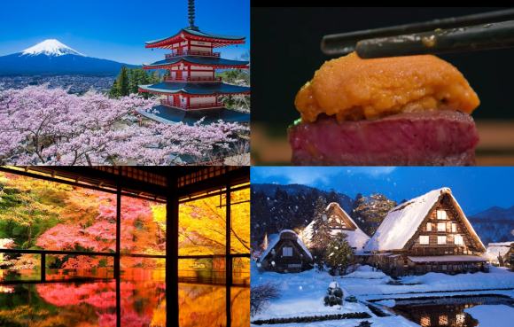 【前年比20万人増】外国人観光客が殺到するSNS集客活用術